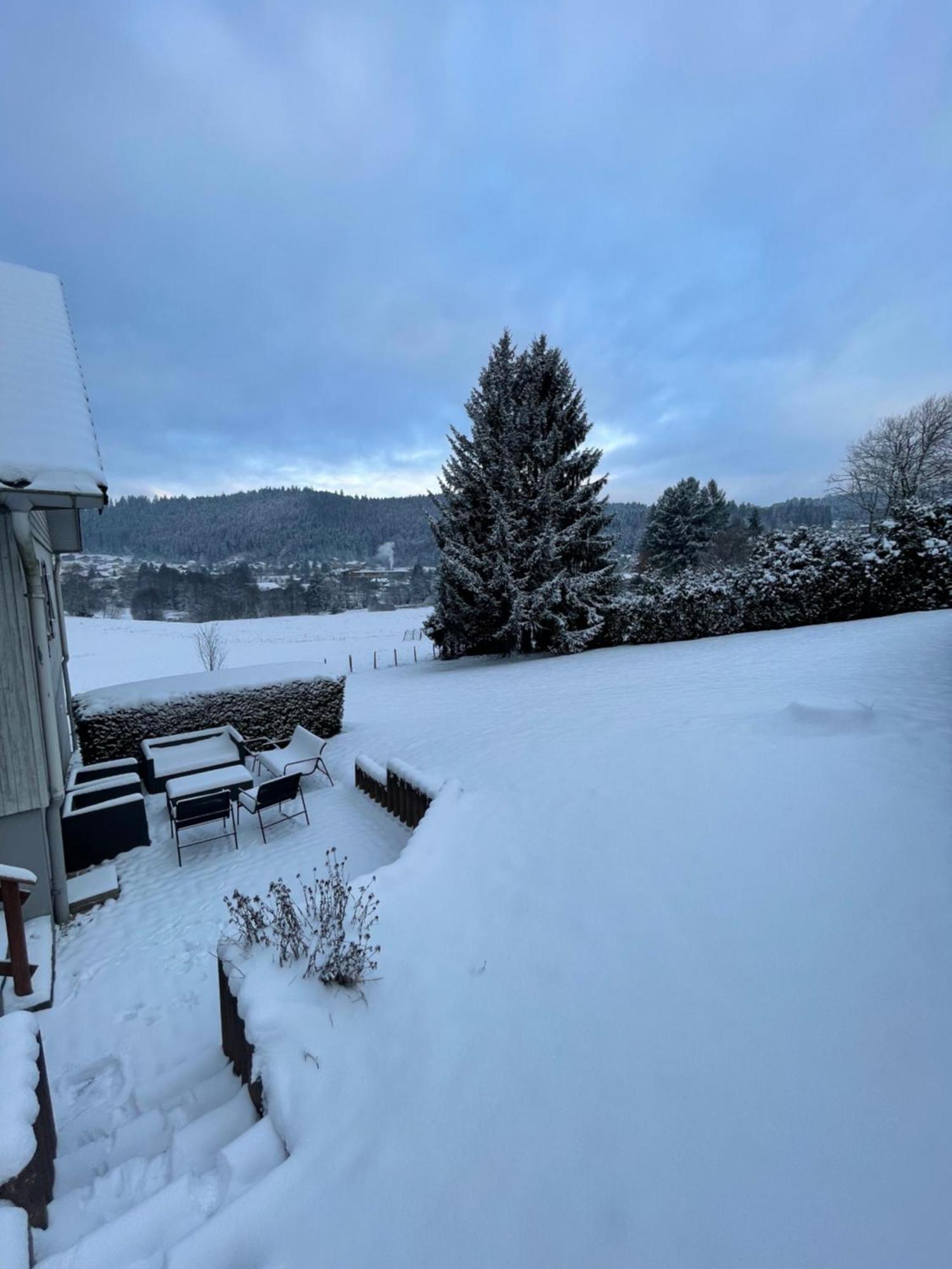 Chalet Le Cedre Bleu 10 P - 10 Min De Gerardmer Le Tholy Exterior foto